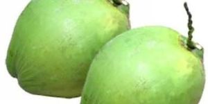 Green Coconut