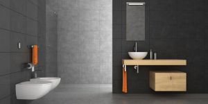 Anglo Indian Stylus Dual Flush Tank