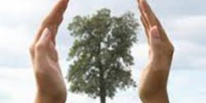 Biodiversity Conservation