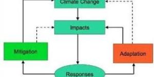 Climate Change Mitigation & Adaptation Consulting Services