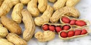 Shelled Groundnuts