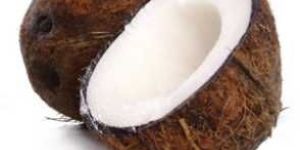 Coconut Products