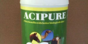 Animal Nutrition Supplements
