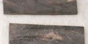 Buffalo Horn Plates - 02