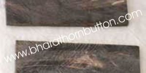 Buffalo Horn Plates - 03