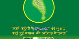 Sprinkler Irrigation System