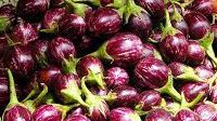 Brinjal