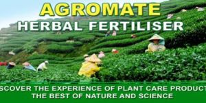 Herbal Fertilizer