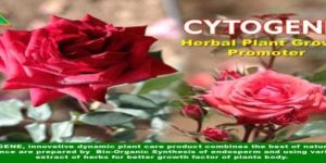 Herbal Plant Growth Promoter