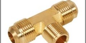 Flare Male Branch Tee