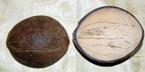 Coconut Shell Ice Cream Cup