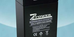 12V 4.5Ah Weighing Scale Battery