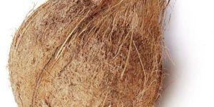 Coconut