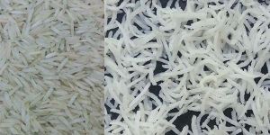 1121 Pusa Basmati Rice Raw