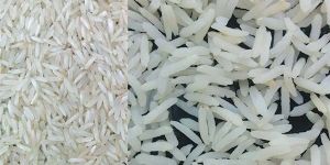 Pr Steamed Rice