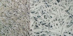 Pusa Basmati Rice Steam