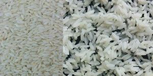 Sona Masoori Steam Rice