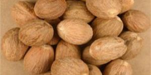 Nutmegs