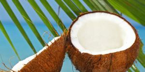Fresh Coconut