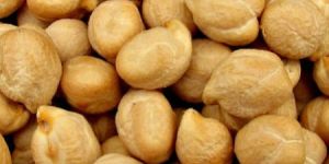 Kabuli Chick Peas