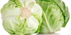 Cabbage