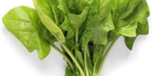 Spinach