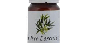 Little Bee Tea Tree Essential Oil
