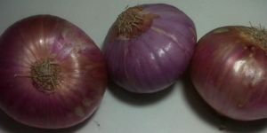Onion