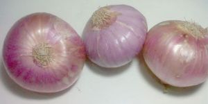 Red Onion