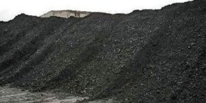 Coal