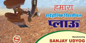 Two Bottom Reversible Plough