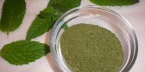 Mint Leaves Powder