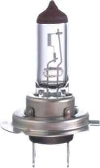 Halogen Lamps
