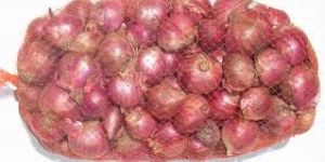 Shallot Onion