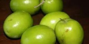 Fresh Jujube