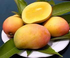 Fresh Mango