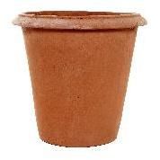 Terracotta Pots