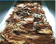 Polyolefin Conveyor Belt