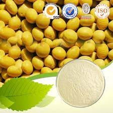 Soya Isolate