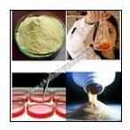 Yeast Extract Powder