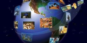 Consultancy for Commodities Trading