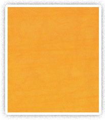 PU Lamination Fabric