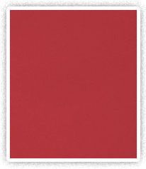 PVC Coated Polyester