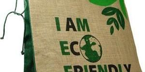 Biodegradable Bags
