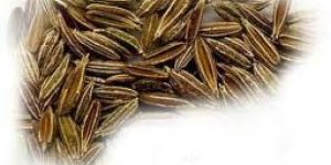 Cumin Seeds
