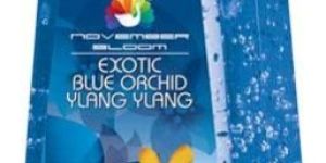 Blue Orchid Ylang Ylang Hand Sanitizer