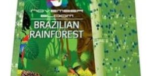 Brazilian Rainforest Hand Sanitizer