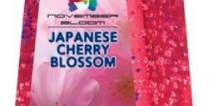 Cherry Blossom Hand Sanitizer