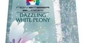 Dazzling White Peony Hand Sanitizer