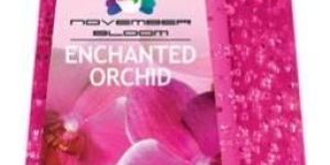 Enchanted Orchid Hand Sanitizer